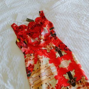 Singles Red Rose Sleeveless Dress NWT